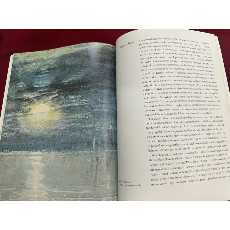 Sách ngoại văn tiếng Anh - Turner in the Clore Gallery 928704