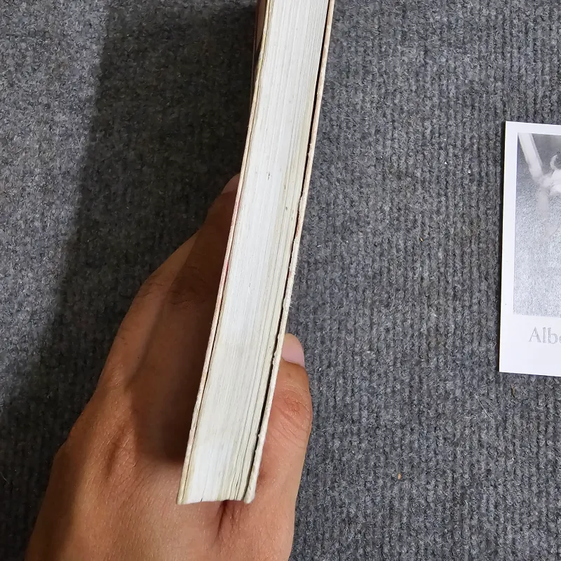 Paris 11 tháng 8 - thuận 991026