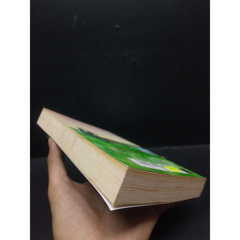 Ngôi nhà nhỏ trên thảo nguyên năm tháng vàng son 8 Laura Ingalls Wilder 2016 mới 80% ố bẩn nhẹ HCM1504 văn học 914184