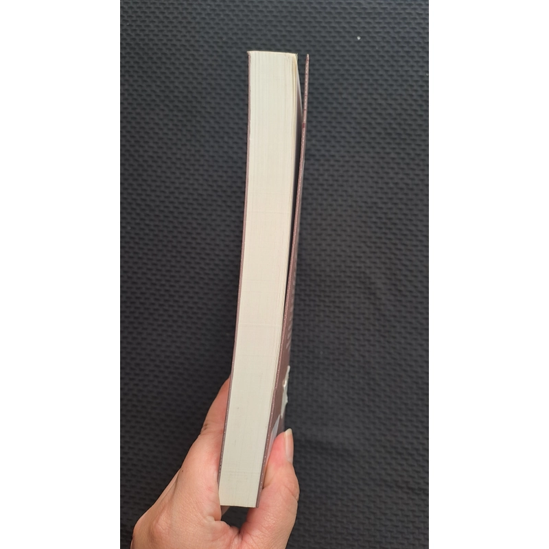 AQ chính truyện - Lỗ Tấn 465553