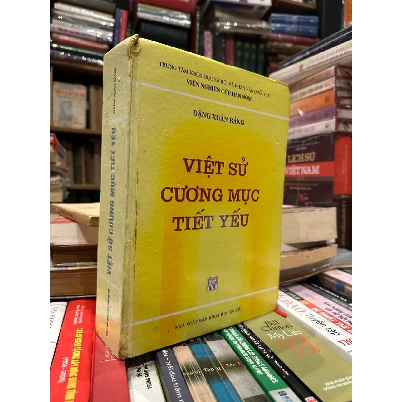 Việt Sử cương mục thiết yếu - Đặng Xuân Bảng 629008