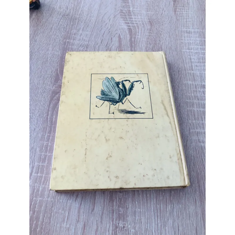 VLA - ĐI - MIA BRA - GHIN Ở XỨ CỎ RẬN 975807