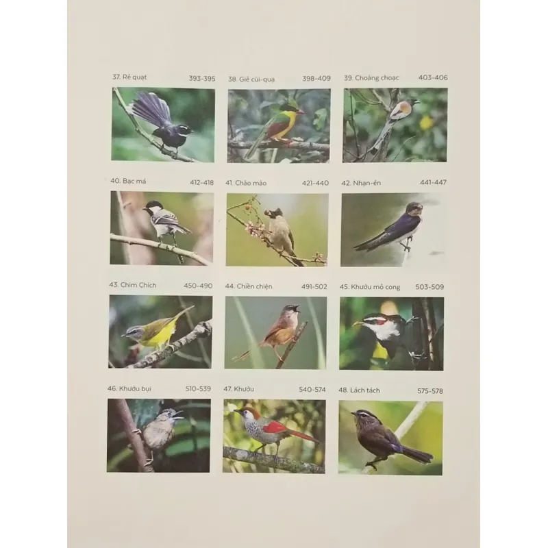 Các loài chim Việt Nam (Bản đặc biệt) 736163
