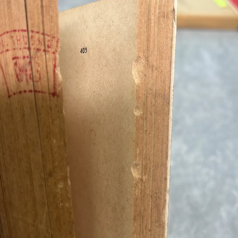 VIỆT NAM THI NHÂN TIỀN CHIẾN & KHUYNH HƯỚNG THI CA TIỀN CHIẾN - NGUYỄN TẤN LONG 717060