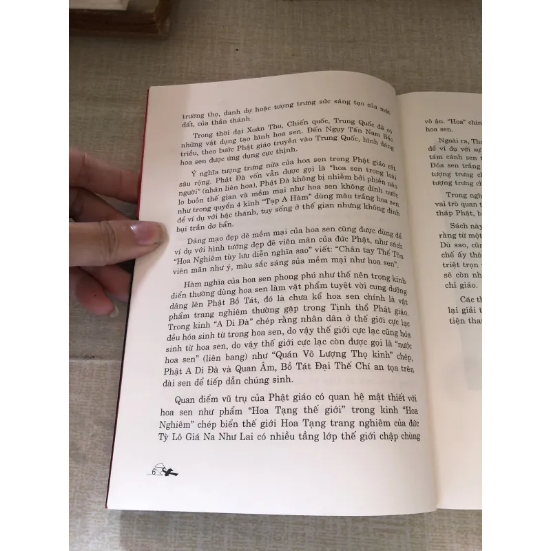 Toàn tập giải thích Hình tượng Hoa sen Phật Giáo 993513