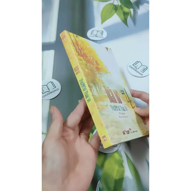 Bến Xe - Thương Thái Vi 744709