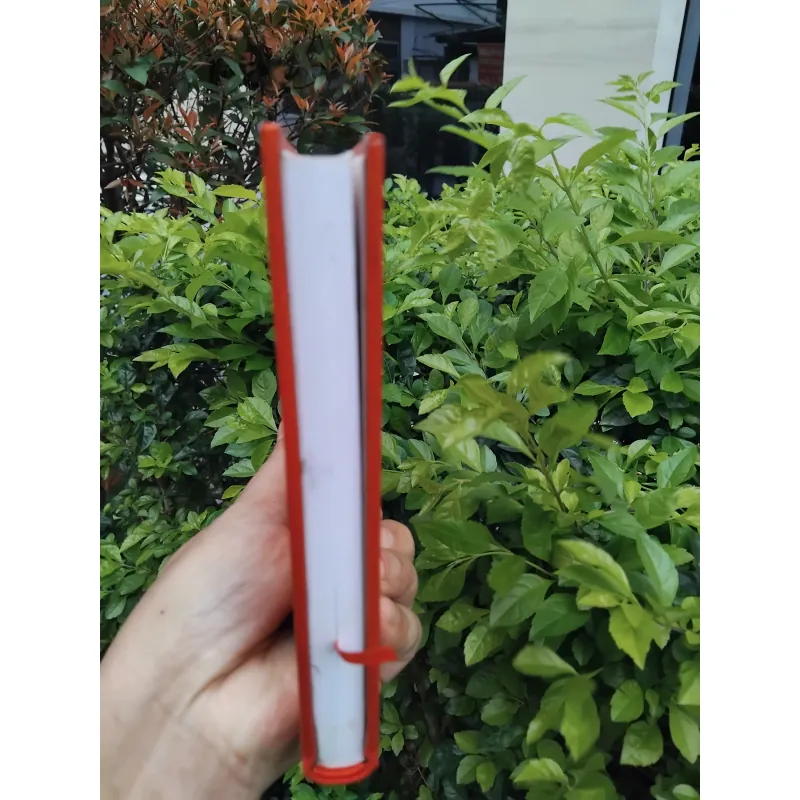 Nhóc Nicolas, quả bóng và những chuyện chưa kể 936598