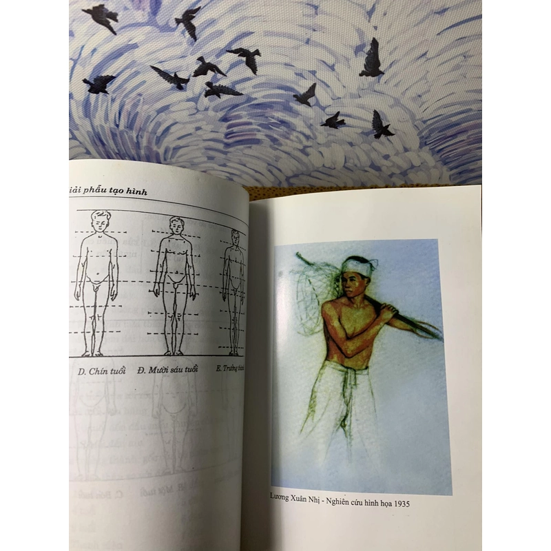 Giải Phẫu Tạo Hình - Lương Xuân Nhị 542599