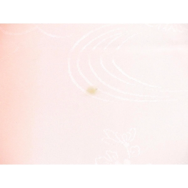 Áo dài truyền thống - Hàng hiệu Authentic 878221