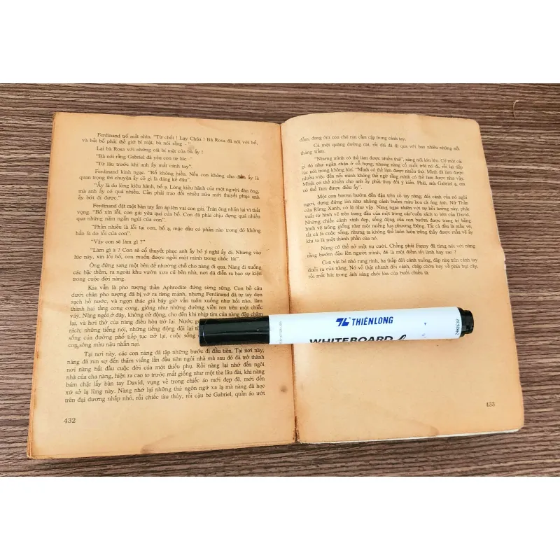 Tiểu thuyết của nhà văn Belva Plain: CÔ GÁI DI CƯ (433 trang) 957317