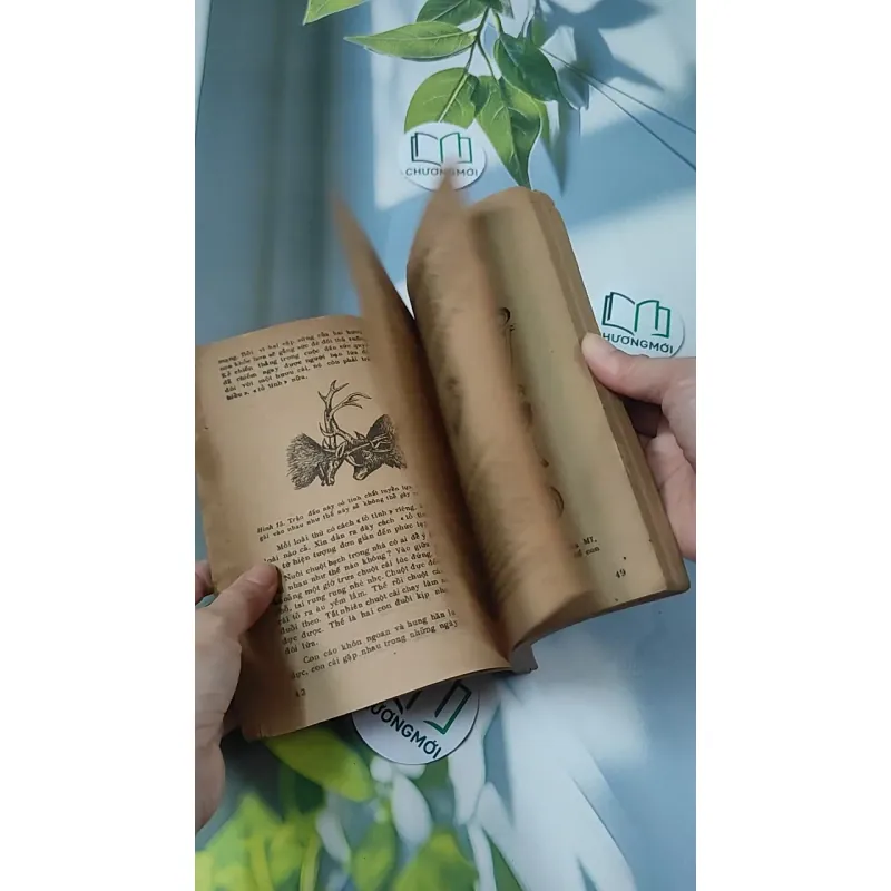 [XƯA] Tìm Hiểu Các Loài Thú (1988) - Lê Vũ Khôi 775993