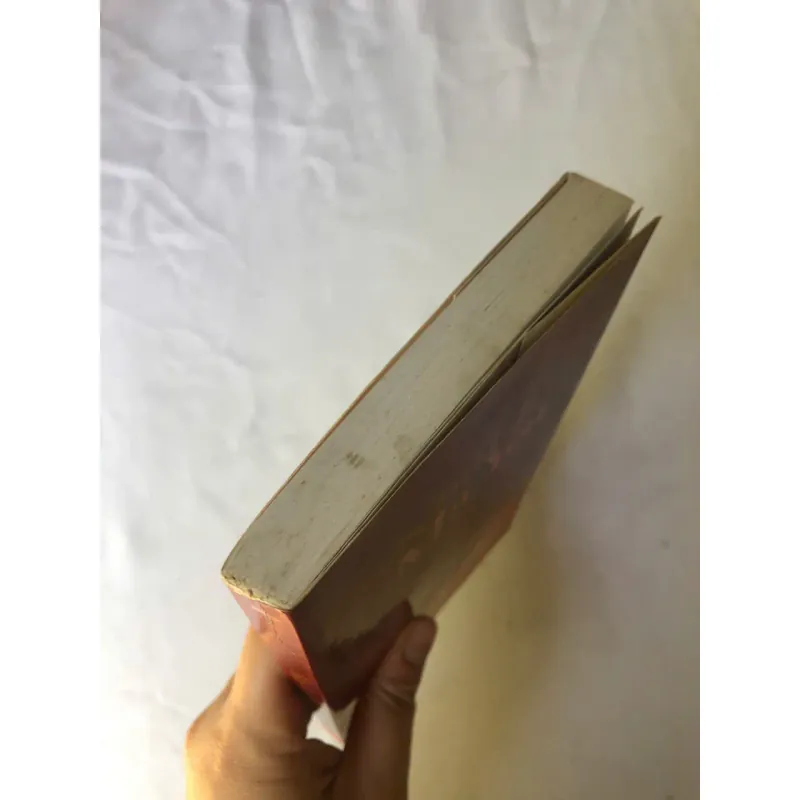 Nhật Ký Mã Yến 1002107