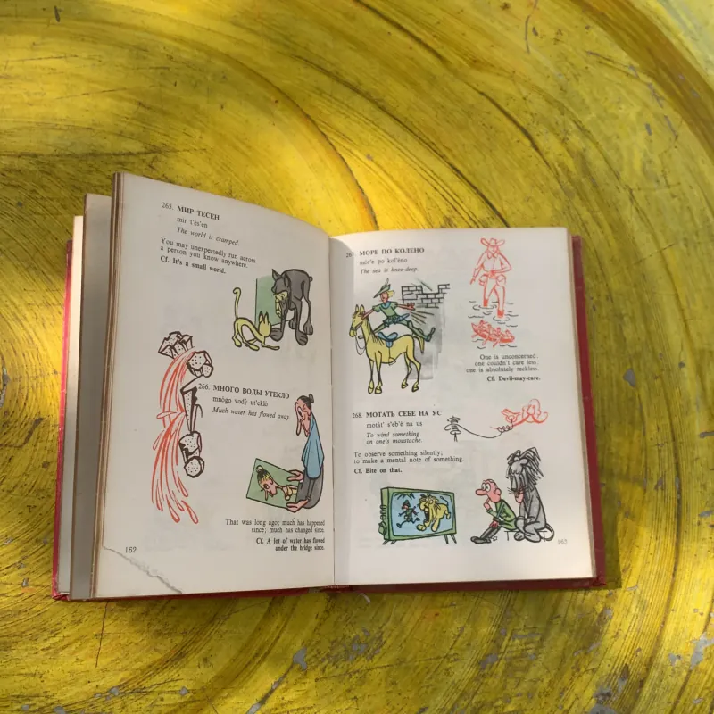 A BOOK OF RUSSIAN IDIOMS ILLUSTRATED- M.I. DUBROVIN 788866