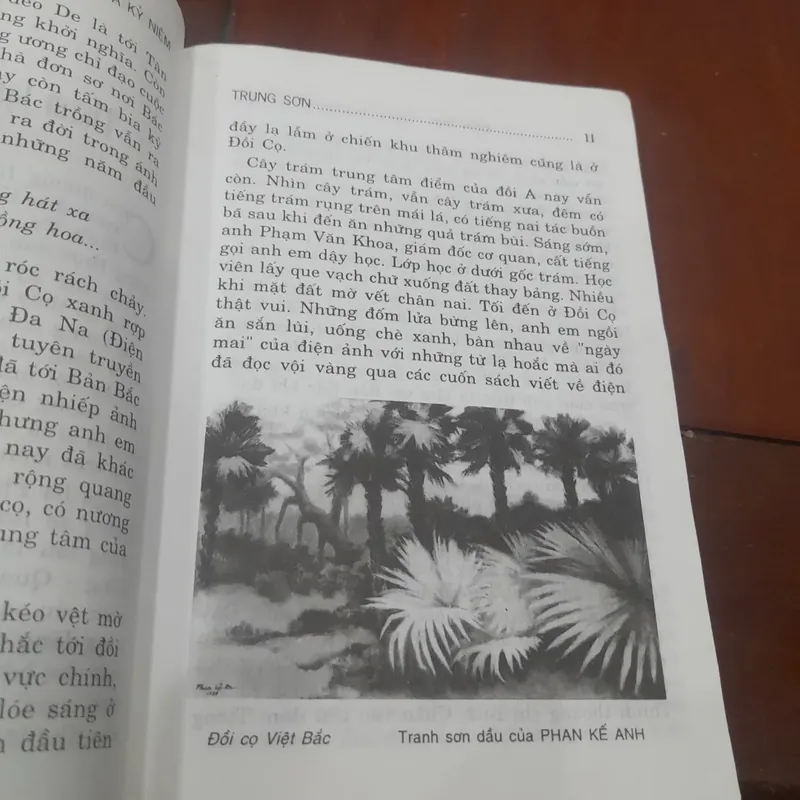 Trung Sơn: ĐIỆN ẢNH - CHẶNG ĐƯỜNG KỸ NIỆM 597809
