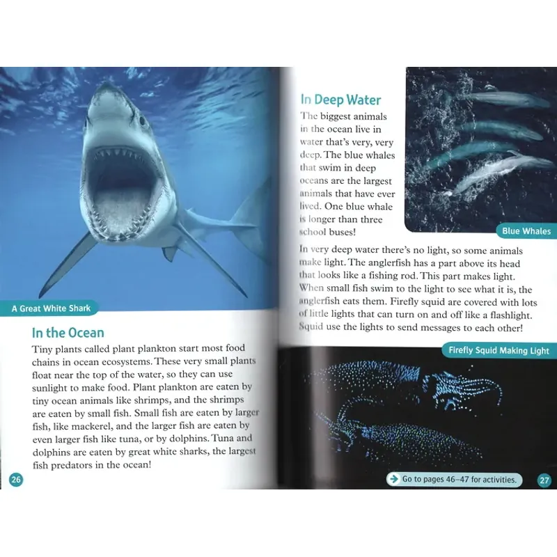 Oxford read and discover (Sách nhập) - Level 6 - 14 quyển + File Mp3 1038362