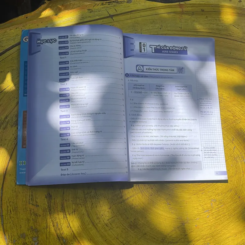 COMBO GIẢI THÍCH CHUYÊN SÂU NGỮ PHÁP TIẾNG ANH- LUYỆN PHÁT ÂM TIẾNG ANH SHIP OR SHEEP? 707496