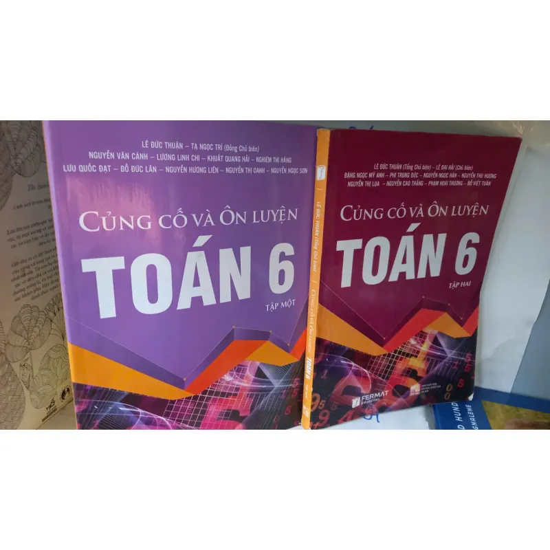 củng cố và ôn luyện toán 6 799516