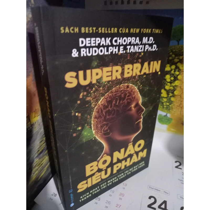 bộ não siêu phàm 445340