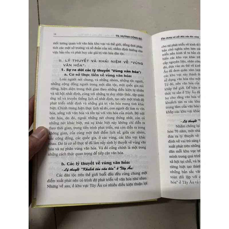 Đặc trưng và sắc thái văn hóa. Vùng và tiểu vùng ở Việt Nam 699358