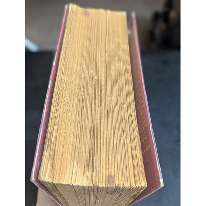 Buổi sáng cuối cùng - D.H.Lawrence ( Phan Lệ Thanh dịch ) 778565