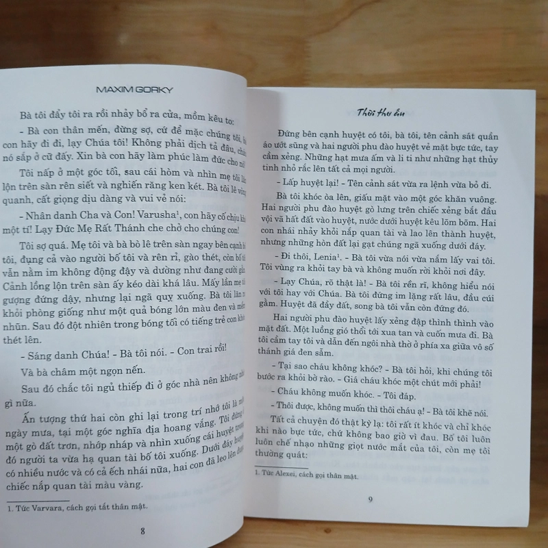 Thời Thơ Ấu - Maxim Gorky 398371