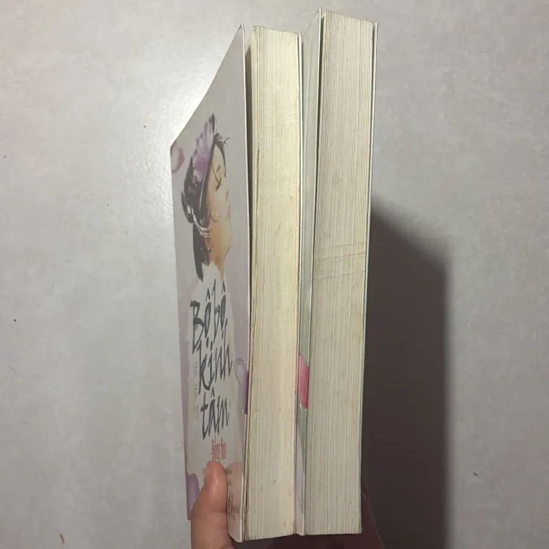 Bộ bộ kinh tâm Trọn bộ 2 tập - Đồng Hoa 754351