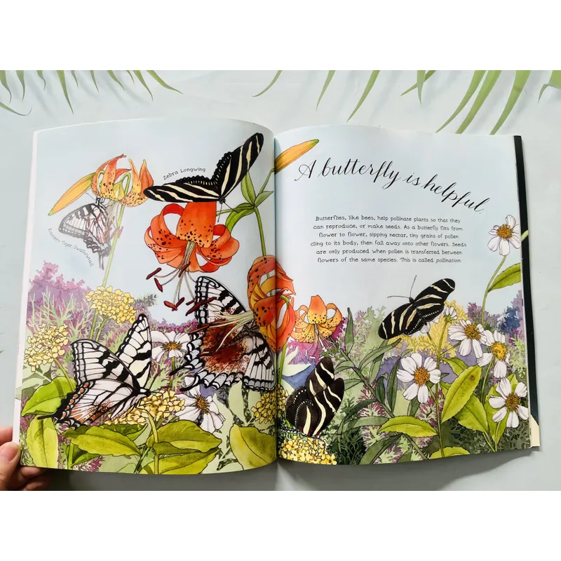 A Butterfly Is Patient – Dianna Hutts Aston & Sylvia Long 690108