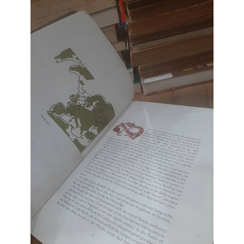 Vikings - Carin Orrling 776235