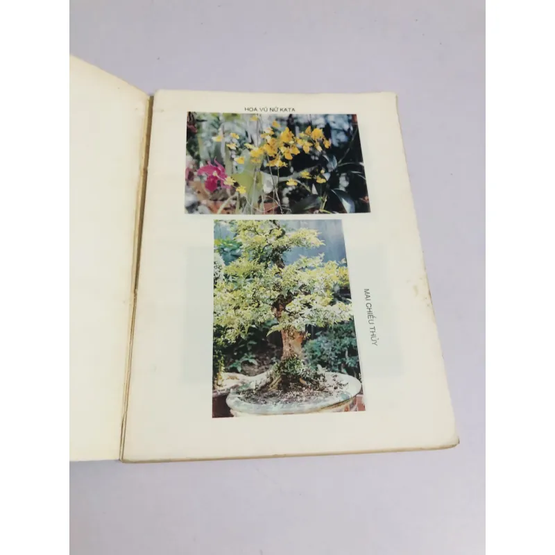 KỸ THUẬT TRỒNG HOA KIỂNG 760017