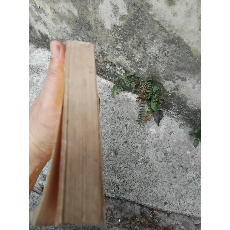 Trạng trình Nguyễn Bỉnh Khiêm  1022826