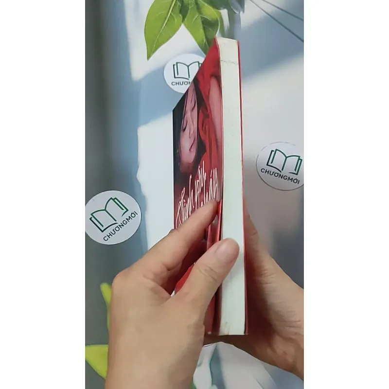 Tình yêu nồng cháy - Sái Cần Cần 688658