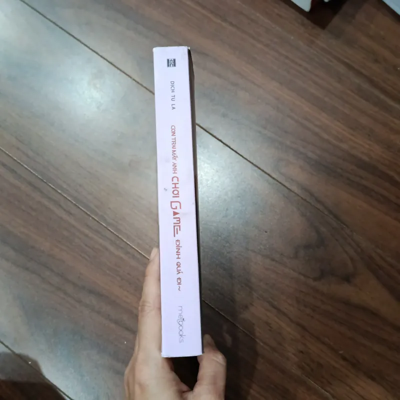 Con trai mấy anh chơi game đỉnh quá đi 966483