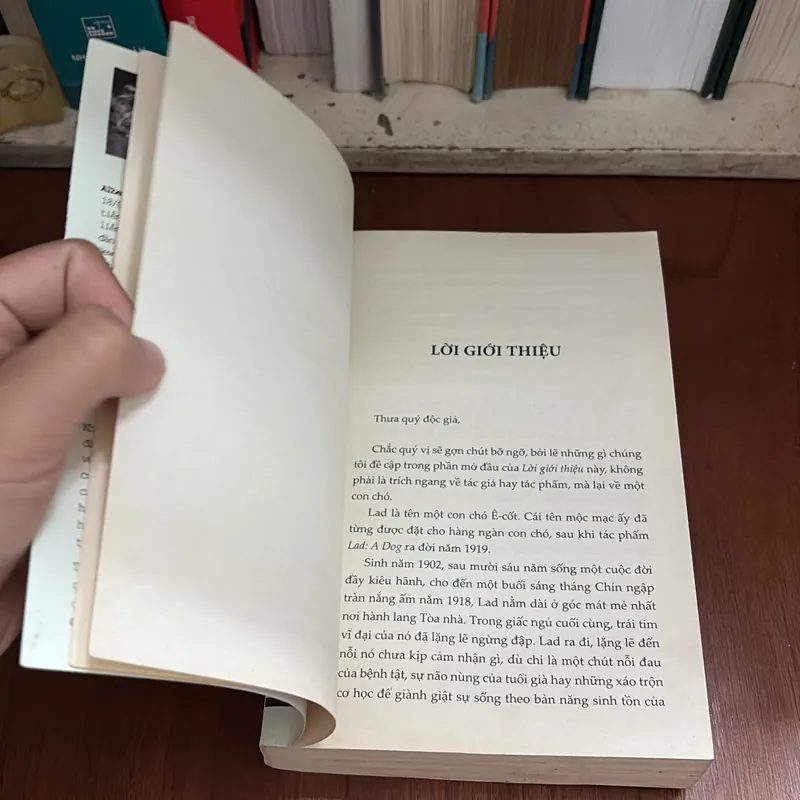 II LAD _ Câu Chuyện Về Phẩm Giá Của Một Con Chó - ALBERT PAYSON TERHUNE - ROGER VU (Dịch) 709217