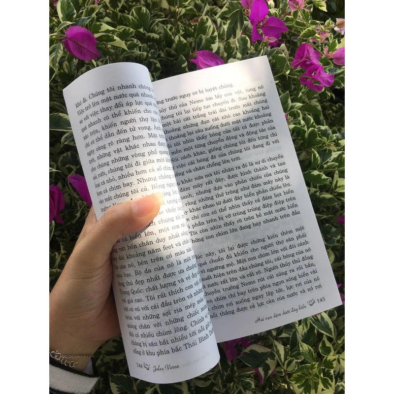 2 vạn dặm dưới đáy biển Jules Verne 530677