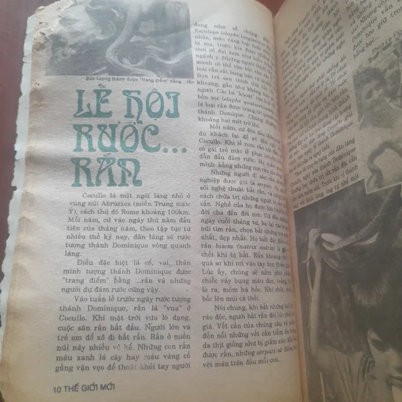 Bán nguyệt san THẾ GIỚI MỚI số 31 năm 1992 930954