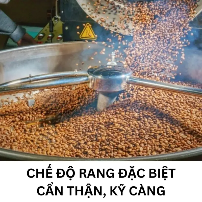 Cà Phê Hạt Rang/Xay - Cà Phê Bột- Cà Phê Hoà Tan - Bột Ca Cao 998126