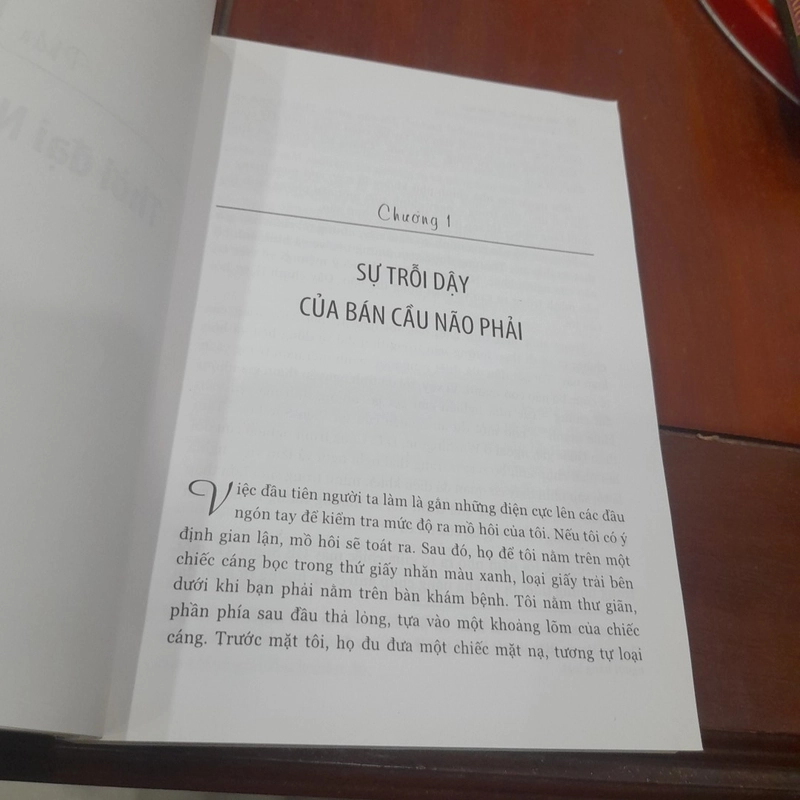 Daniel H. Pink - MỘT TƯ DUY HOÀN TOÀN MỚI, Bán cầu não phải sẽ thống trị tương lai 452268