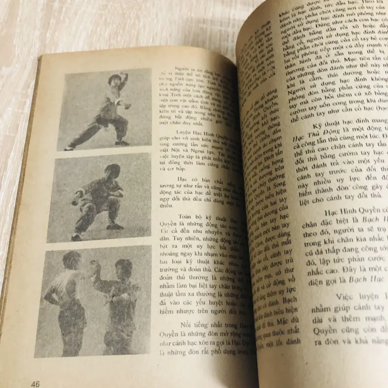 TÌM HIỂU VÕ THUẬT LONG HỔ XÀ HẠC BÁO 1010632