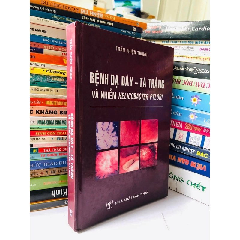 BỆNH DẠ DÀY- TÁ TRÀNG VÀ NHIỄM HELICOBACTER PYLORI 522686