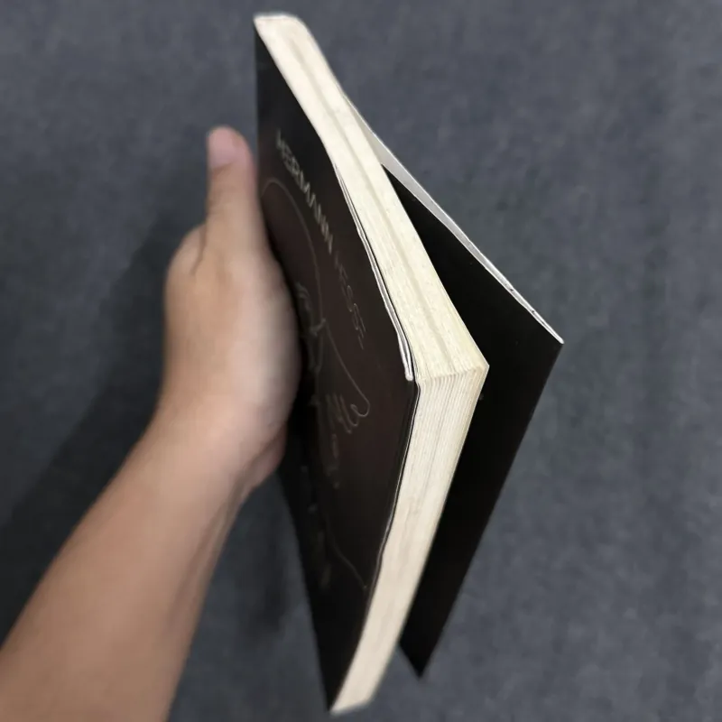 Demian: Câu chuyện tuổi trẻ của Emil Sinclair - Hermann Hesse 1002903