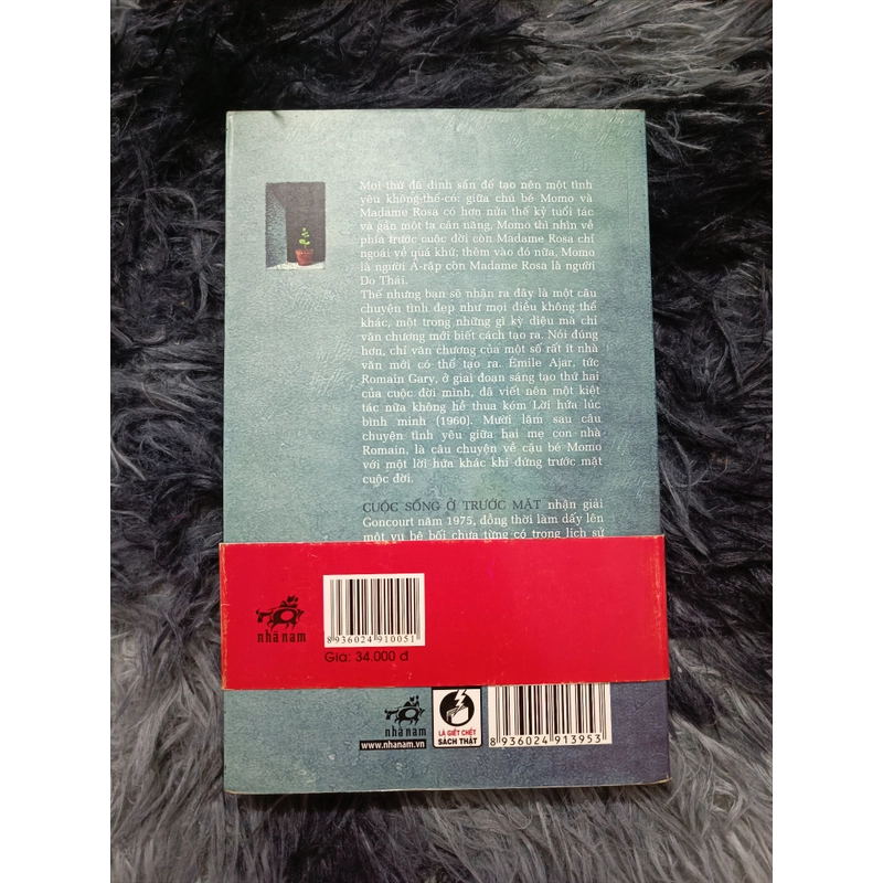 Cuộc sống ở trước mặt (Romain Gary) 535981