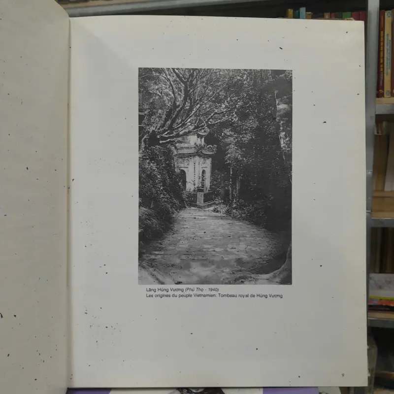 ẢNH VÕ ANH NINH 696584