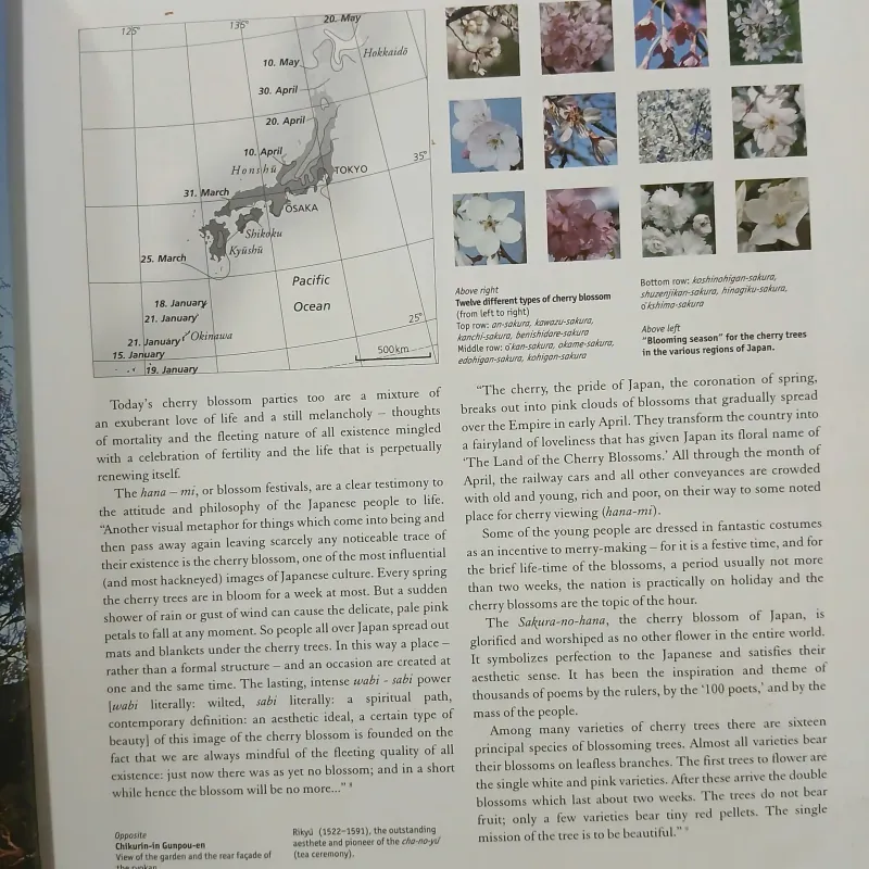 RYOKAN - A JAPANESE TRADITION 553358