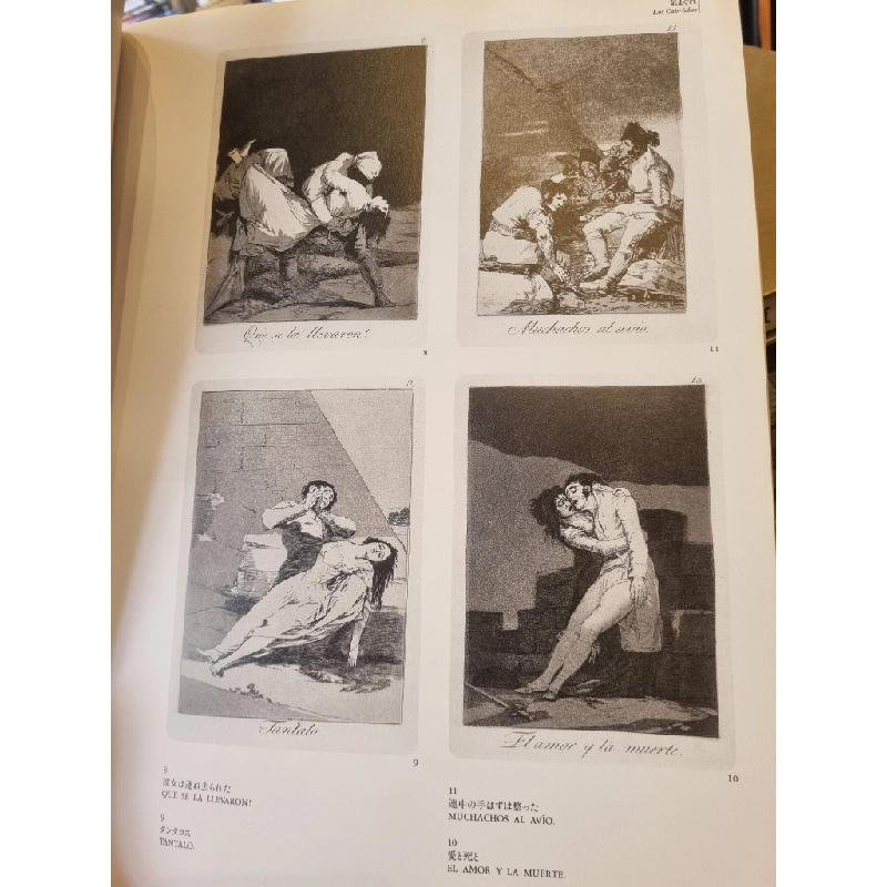Sách tiếng Nhật 186 : Francisco De Goya Y Lucientes 363519