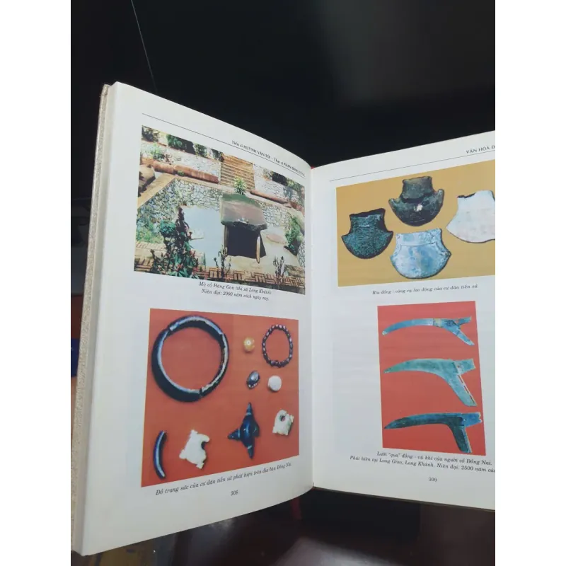 Văn hoá Đồng Nai 1017605