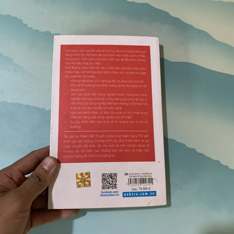 Việt Nam mãnh hổ hay mèo rừng 976399