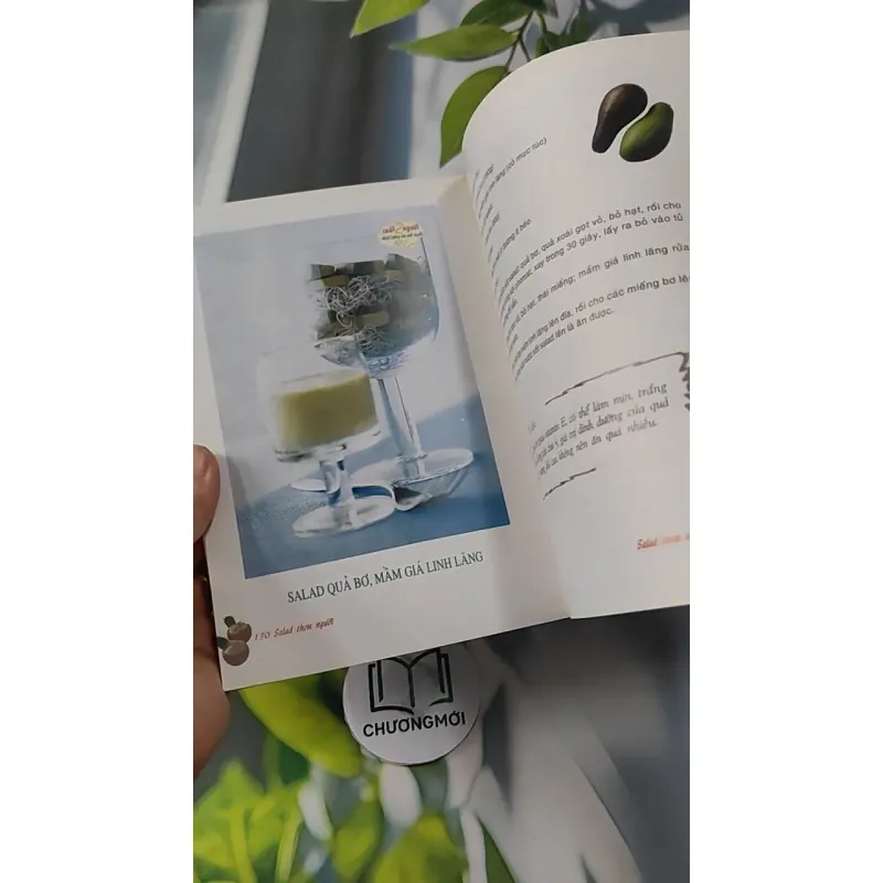Salad Thon Người - Salad & Những Thực Phẩm Ăn Không Sợ Mập - Vũ Mai Ly & Nguyễn Xuân Quy 727252