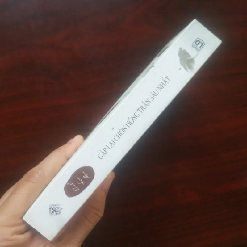 [Sách Văn Học] Gặp Lại Chốn Hồng Trần Sâu Nhất (Bạch Lạc Mai) 925493