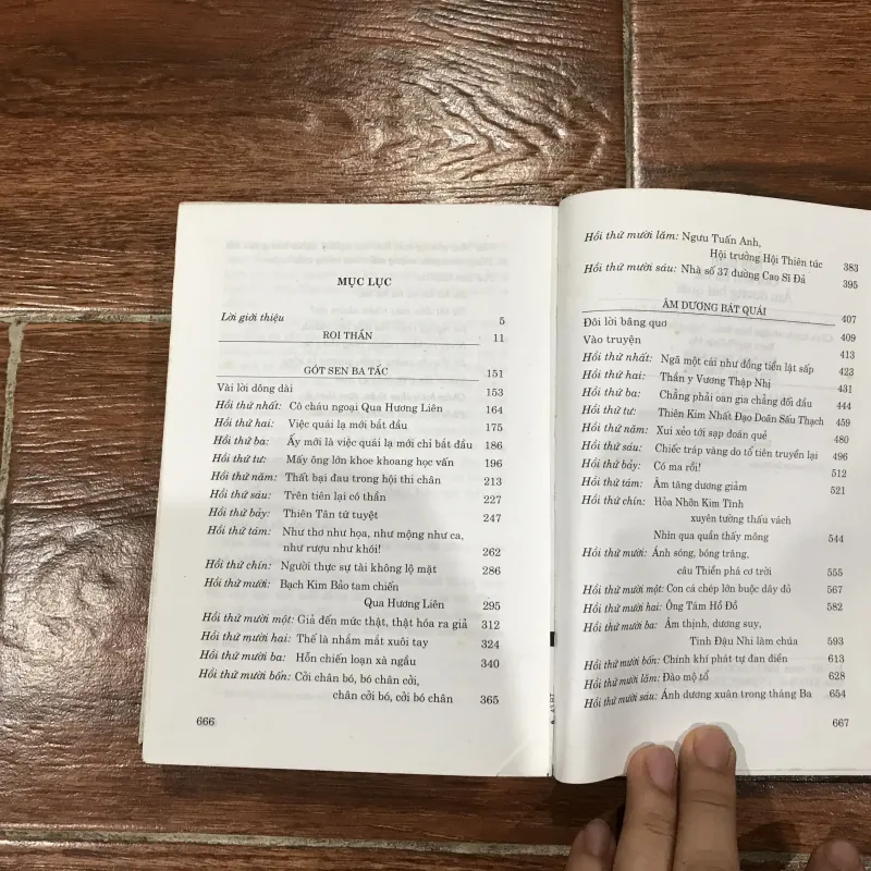 Roi thần Gót sen ba tấc Âm dương bát quái - Phùng Ký Tài (7) 925806