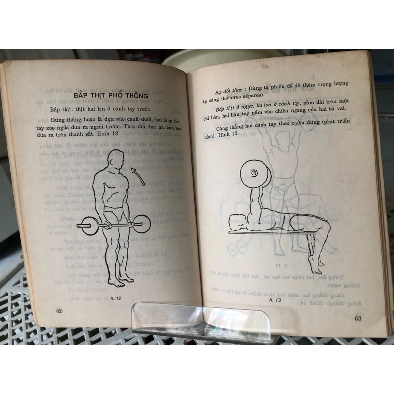 PHƯƠNG PHÁP TẬP TẠ ( BATTISTA) 259481